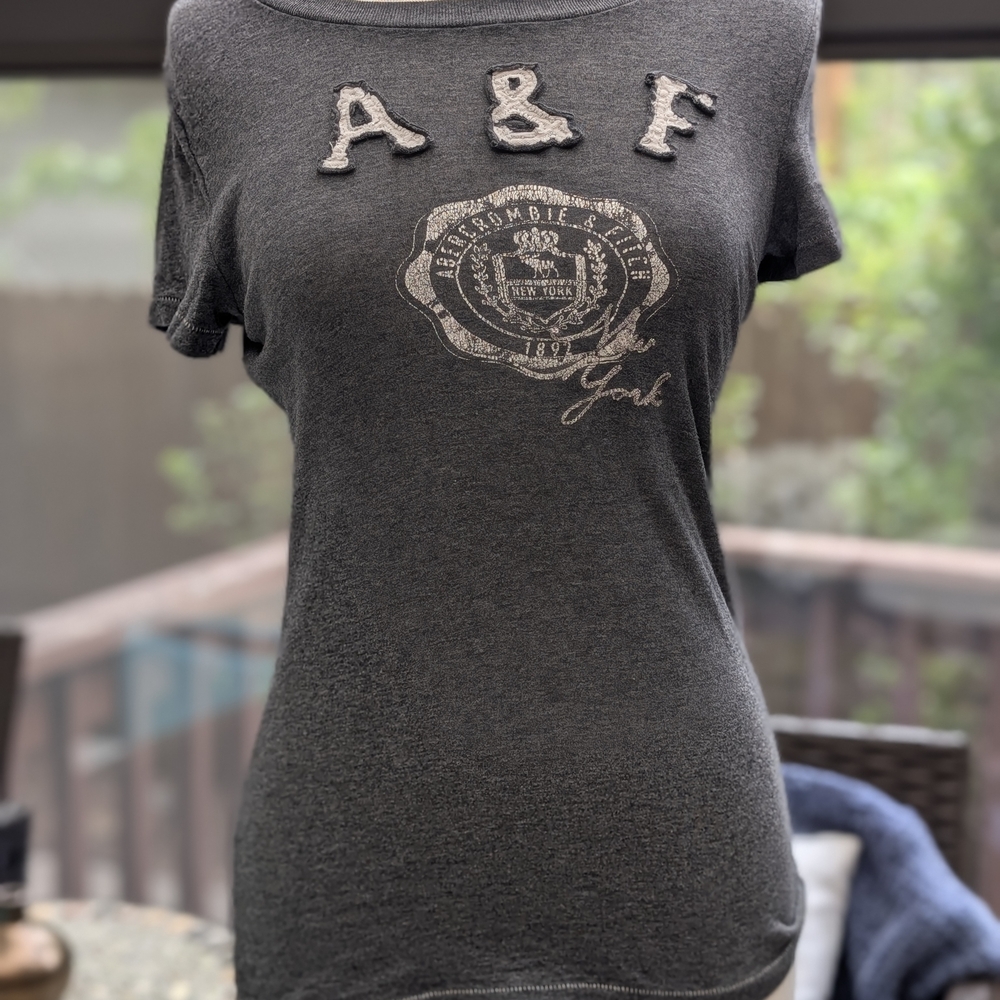 Abercrombie & Fitch Gray Fitted Tee